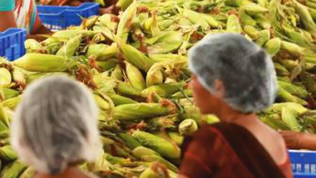 india-s-food-processing-industry-could-reach-usd-530-billion-by-fy27